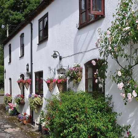 Shepherds Row Bed And Breakfast West Haddon Eksteriør billede